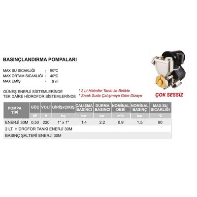 Atlantis Blu Enerji 30M 220v 0.5hp Sıcak Su basınçlandırma Pompası Hidroforu - 2