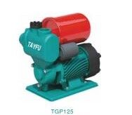 TGP125(I) Otomatik Çevresel Pompa - 1