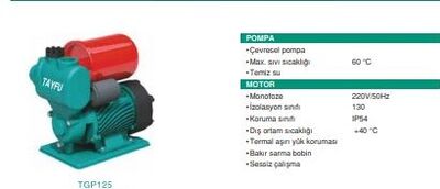 TGP125(I) Otomatik Çevresel Pompa - 2