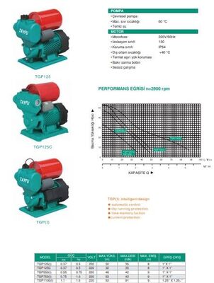 TGP125(I) Otomatik Çevresel Pompa - 3